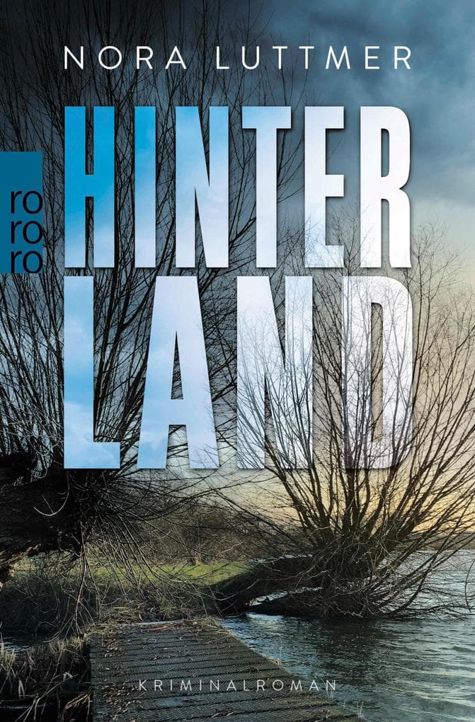 Hinterland: Kriminalroman