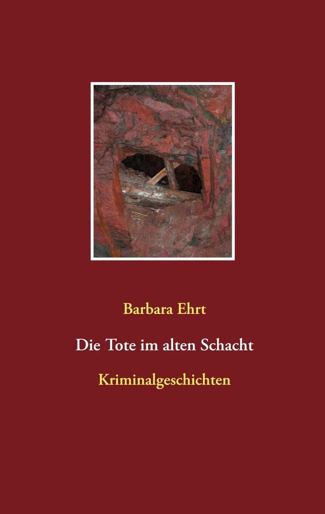Die Tote im alten Schacht: Kriminalgeschichten