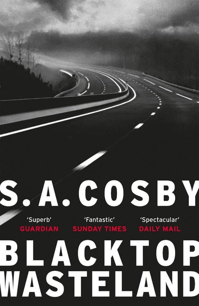 Blacktop Wasteland: the acclaimed and award-winning crime hit of the year