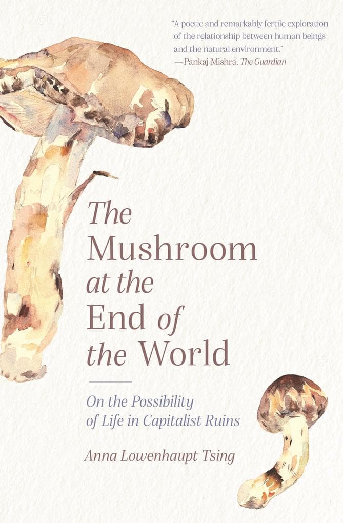 Mushroom at the End of the World: On the Possibility of Life in Capitalist Ruins