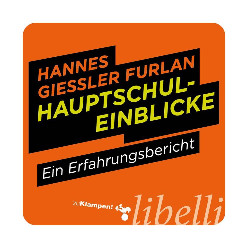 Hauptschuleinblicke: Ein Erfahrungsbericht