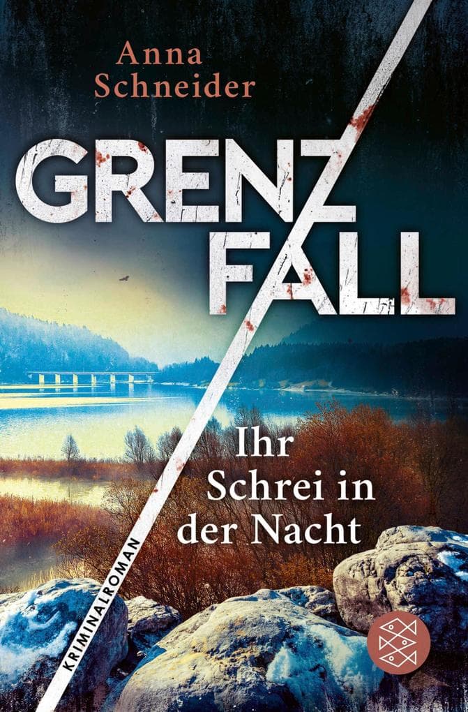 Grenzfall - Ihr Schrei in der Nacht: Kriminalroman | Die grenzüberschreitende Bestseller-Serie zwischen Deutschland & Österreich
