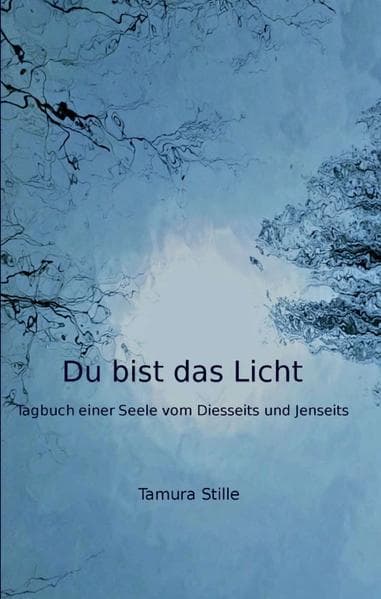 Du bist das Licht: Tagebuch einer Seele vom Diesseits und Jenseits