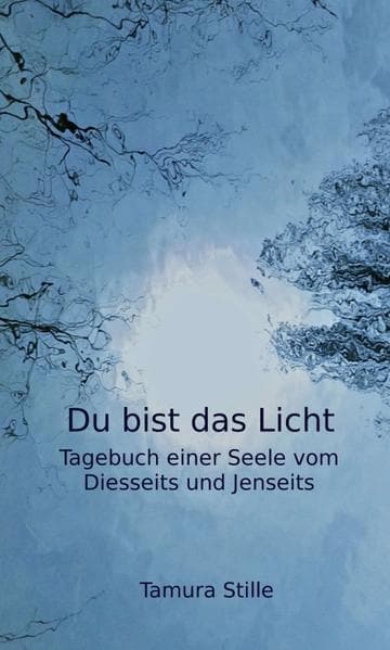 Du bist das Licht: Tagebuch einer Seele vom Diesseits und Jenseits