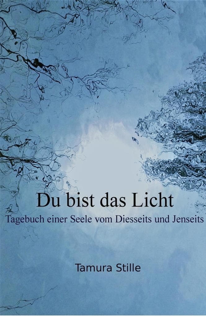 Du bist das Licht: Tagebuch einer Seele vom Diesseits und Jenseits