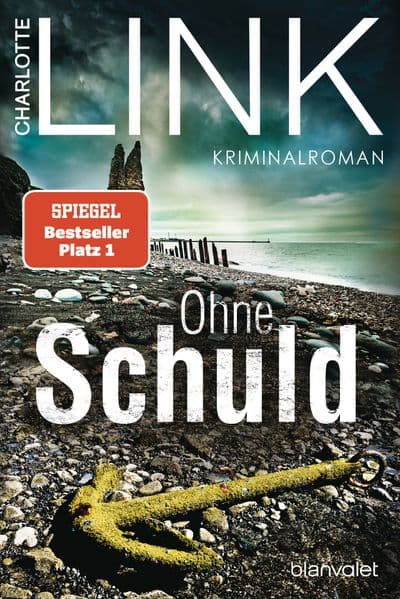 Ohne Schuld: Kriminalroman