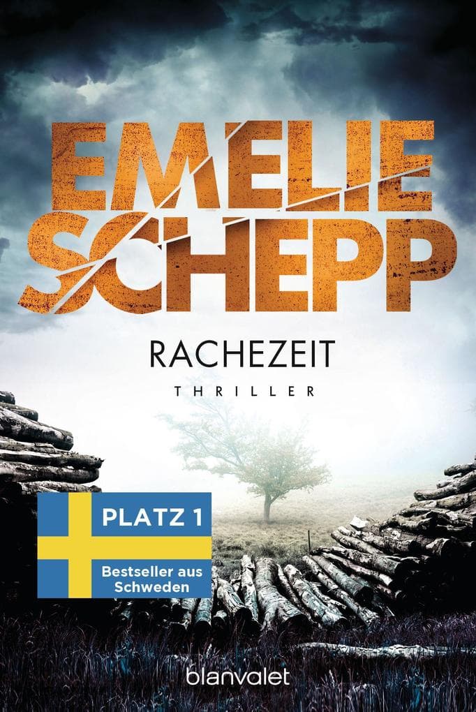 Rachezeit: Thriller