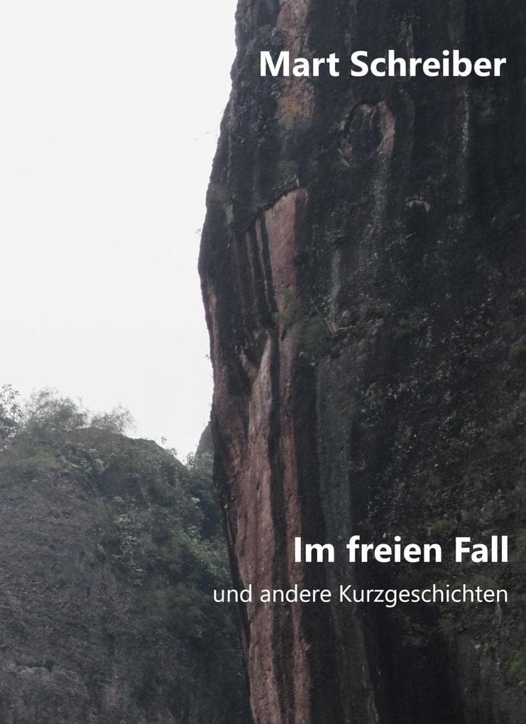 Im freien Fall: und andere Kurzgeschichten