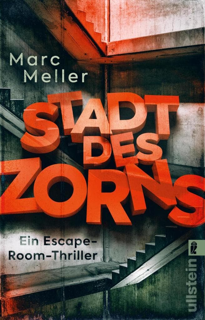 Stadt des Zorns: Thriller