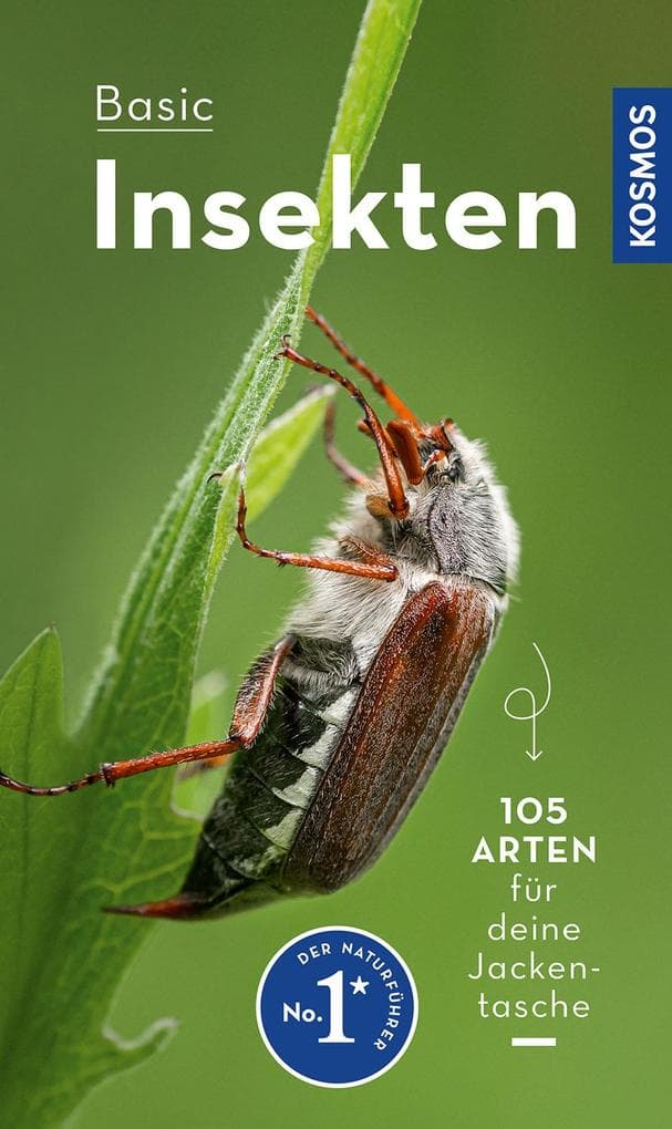 BASIC Insekten: 105 Arten einfach und sicher erkennen - In drei Schritten zur richtigen Art