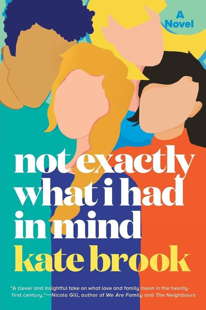 Not Exactly What I Had in Mind: A Novel