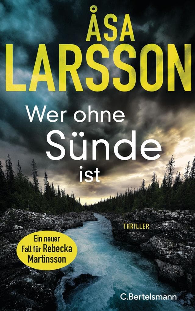 Wer ohne Sünde ist: Thriller. Der neue Thriller der Bestsellerautorin - ausgezeichnet als bester schwedischer Krimi des Jahres