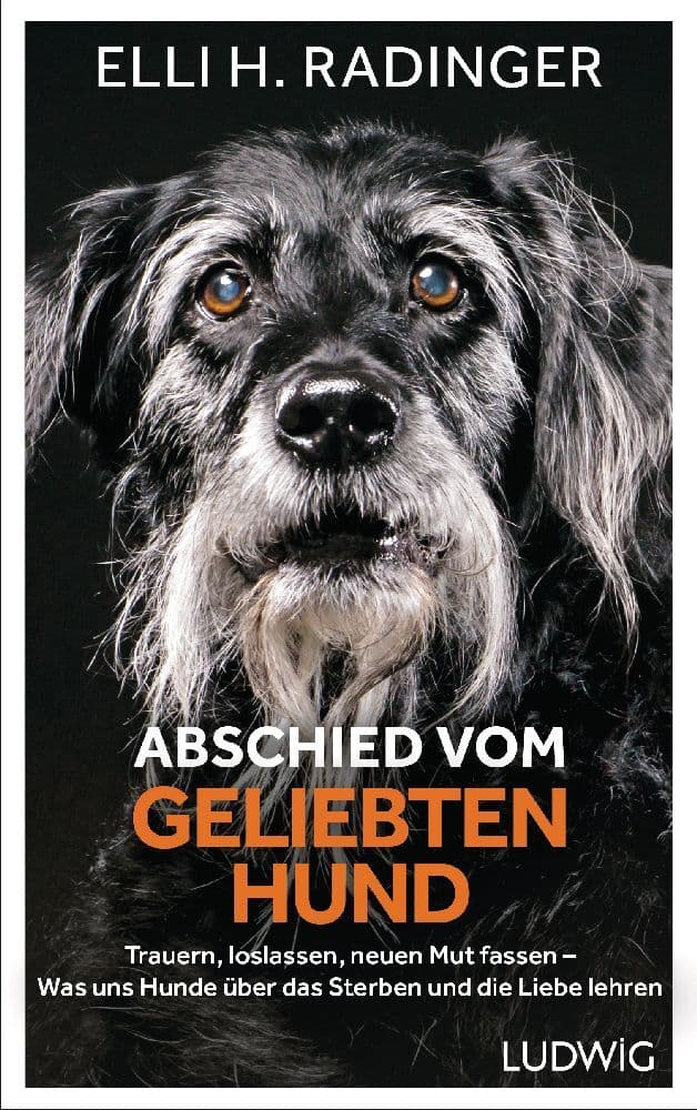Abschied vom geliebten Hund: Trauern, loslassen, neuen Mut fassen - Was uns Hunde über das Sterben und die Liebe lehren