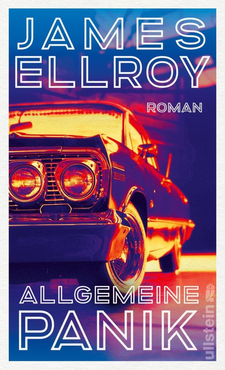 Allgemeine Panik: Roman
