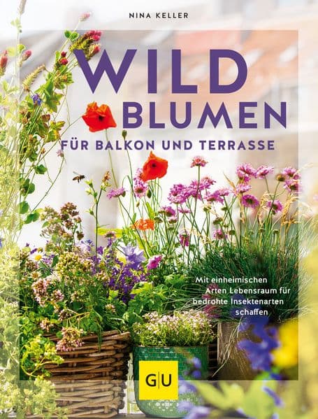 Wildblumen für Balkon und Terrasse: Mit einheimischen Arten Lebensraum für bedrohte Insektenarten schaffen