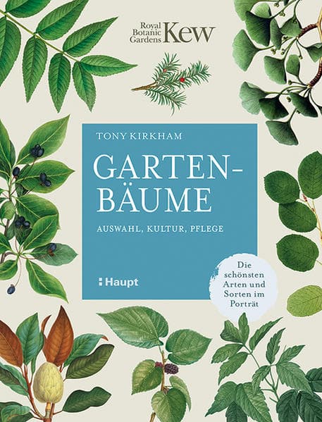 Gartenbäume: Auswahl, Kultur, Pflege - die schönsten Arten und Sorten im Porträt