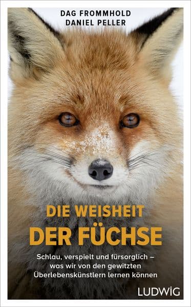 Die Weisheit der Füchse: Schlau, verspielt und fürsorglich - was wir von den gewitzten Überlebenskünstlern lernen können