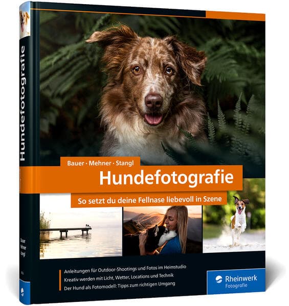 Hundefotografie: Fellnasen liebevoll in Szene setzen. So gelingen Hundeporträts mit Ausdruck und Witz - draußen und im Studio. 350 Seiten Profi-Wissen