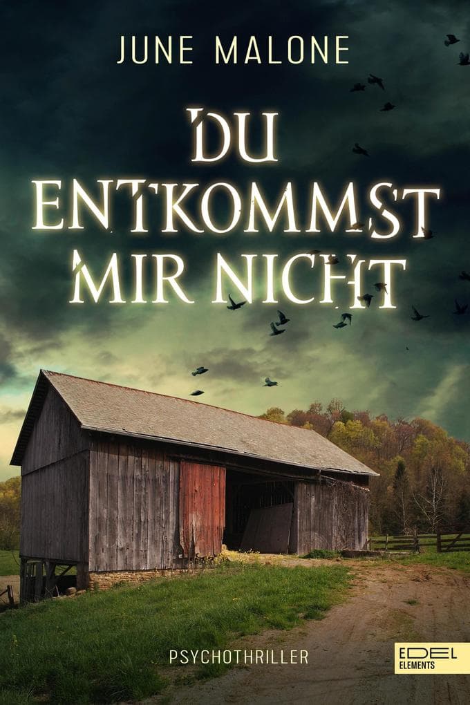 Du entkommst mir nicht: Psychothriller