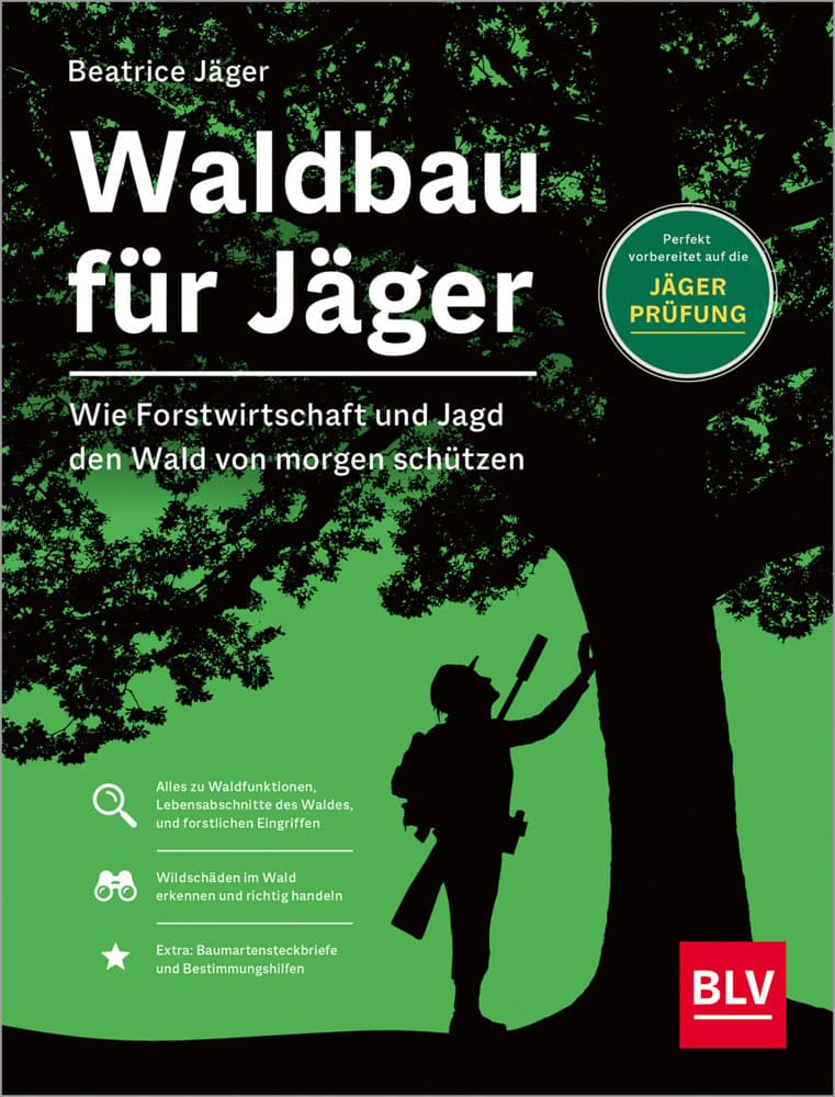 Waldbau für Jäger: Wie Forstwirtschaft und Jagd den Wald von morgen schützen