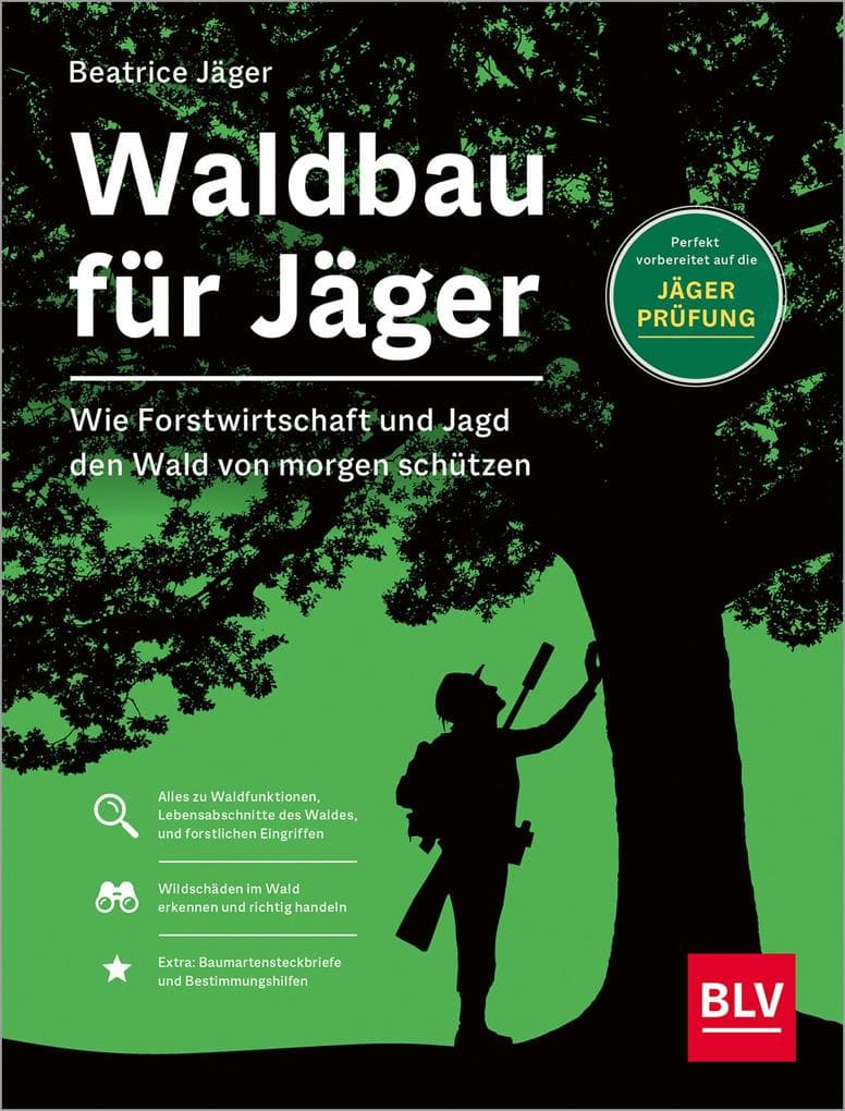 Waldbau für Jäger: Wie Forstwirtschaft und Jagd den Wald von morgen schützen