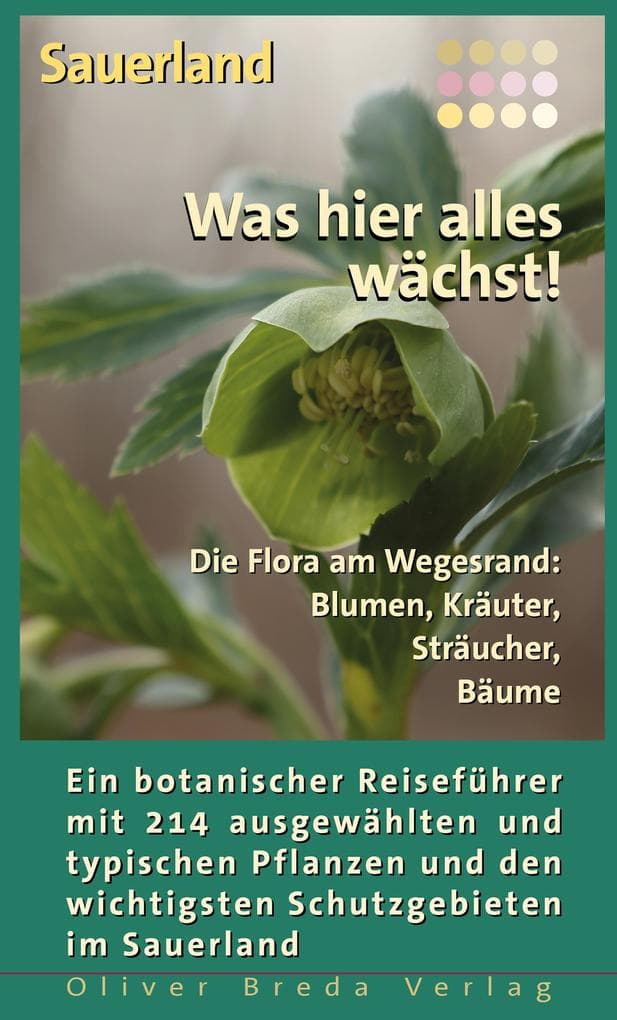Sauerland - Was hier alles wächst!: Die Flora am Wegesrand: Blumen, Kräuter, Sträucher, Bäume