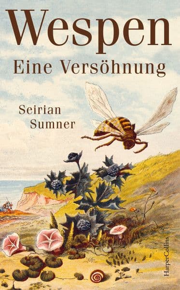 Wespen. Eine Versöhnung: Longlist 'Bestes Wissenschaftsbuch des Jahres' 2024 | Platz 10 der WELT-Sachbuchbestenliste Oktober | Wer Bienen mag, wird Wespen lieben | Geheime Wunder der Evolution