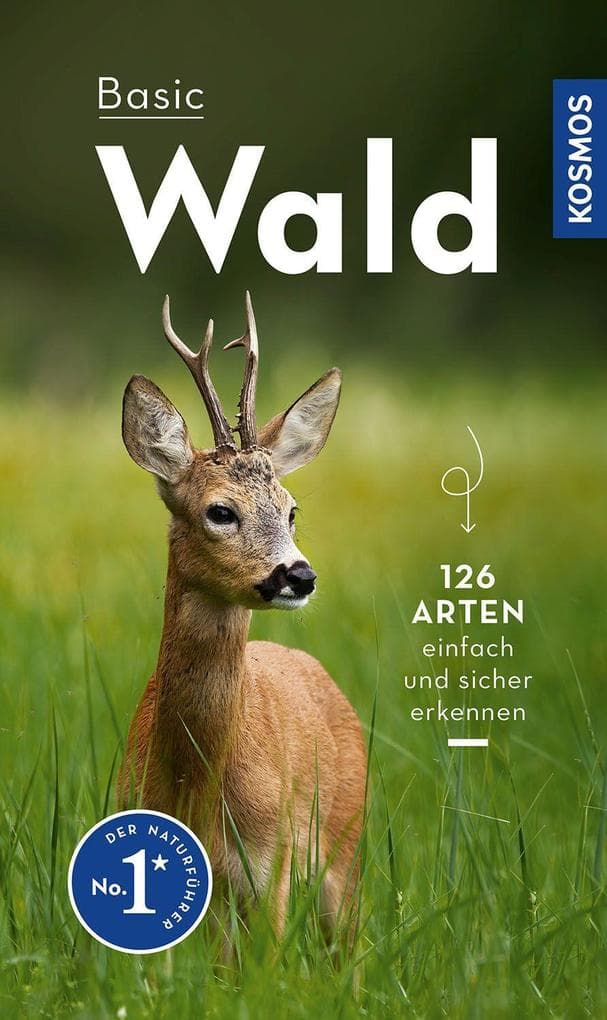 Basic Wald: 126 Arten einfach und sicher erkennen - In drei Schritten zur richtigen Art