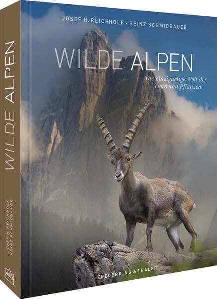 Bildband - Wilde Alpen: Die einzigartige Welt ihrer Tiere und Pflanzen in eindrucksvollen Naturfotografien. Ein Buch über die faszinierende Vielfalt der Wildtiere in der alpinen Natur.