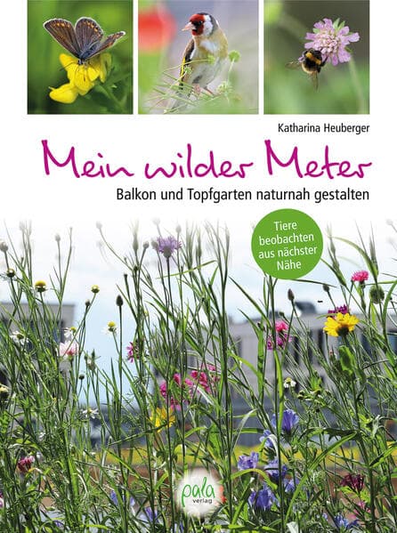 Mein wilder Meter: Balkon und Topfgarten naturnah gestalten - Tiere beobachten aus nächster Nähe