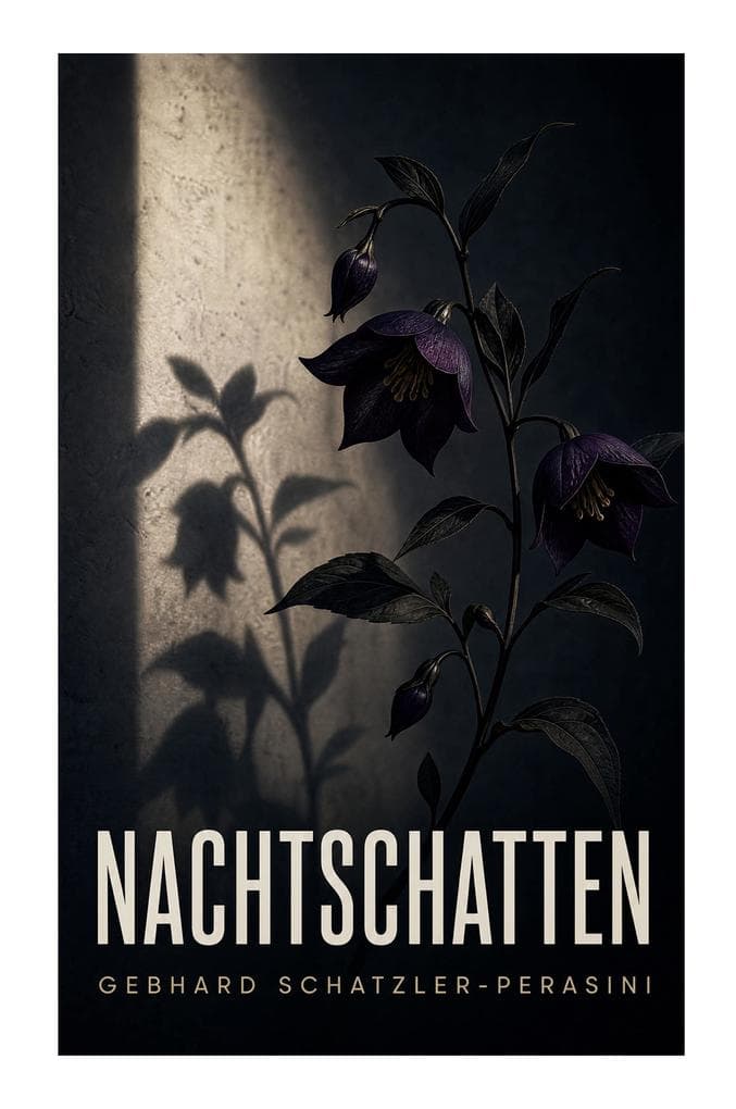 Nachtschatten: Eine unheimliche Erzählung über Wahrnehmung, Erinnerung und moralische Gewissheit im Zwielicht