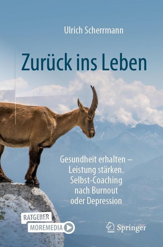 Zurück ins Leben: Gesundheit erhalten - Leistung stärken. Selbst-Coaching nach Burnout oder Depression