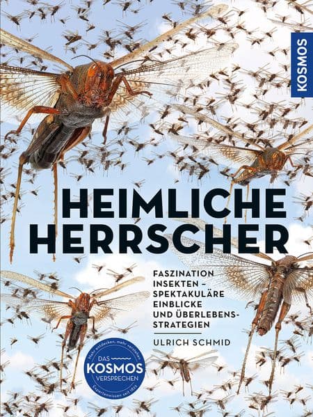 Insekten - Heimliche Herrscher: FASZINATION INSEKTEN -SPEKTAKULÄRE EINBLICKE UND ÜBERLEBENSSTRATEGIEN