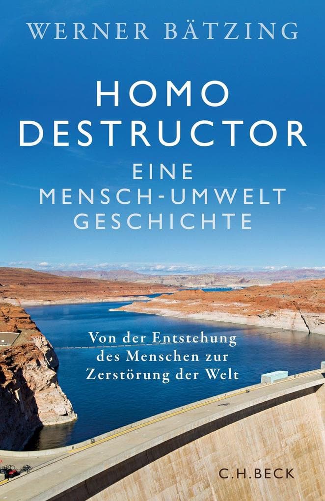 Homo destructor: Eine Mensch-Umwelt-Geschichte. Von der Entstehung des Menschen zur Zerstörung der Welt
