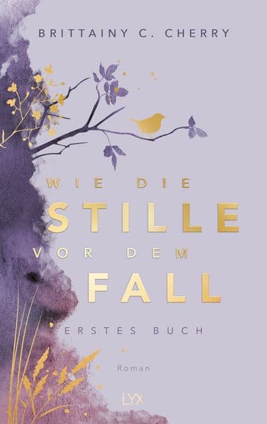 Wie die Stille vor dem Fall. Erstes Buch: Special Edition: Von der SPIEGEL-Bestseller- und TIKTOK-Hype-Autorin von WIE DIE RUHE VOR DEM STURM