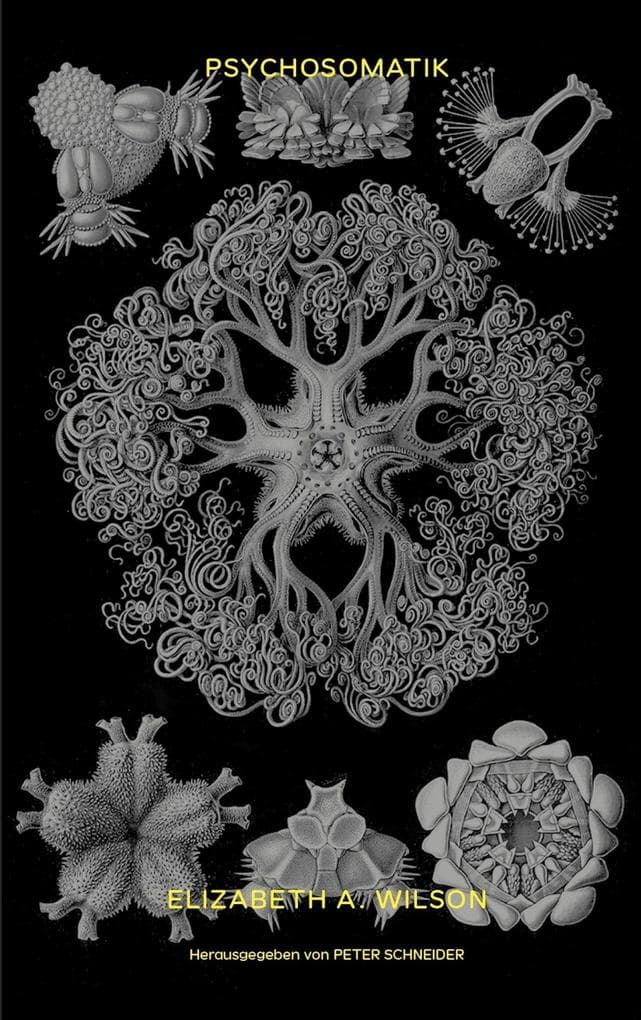 Psychosomatik: Feminism and the Neurological Body