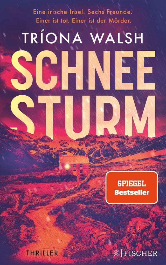 Schneesturm: Thriller | Kein Entkommen von der eisigen Insel