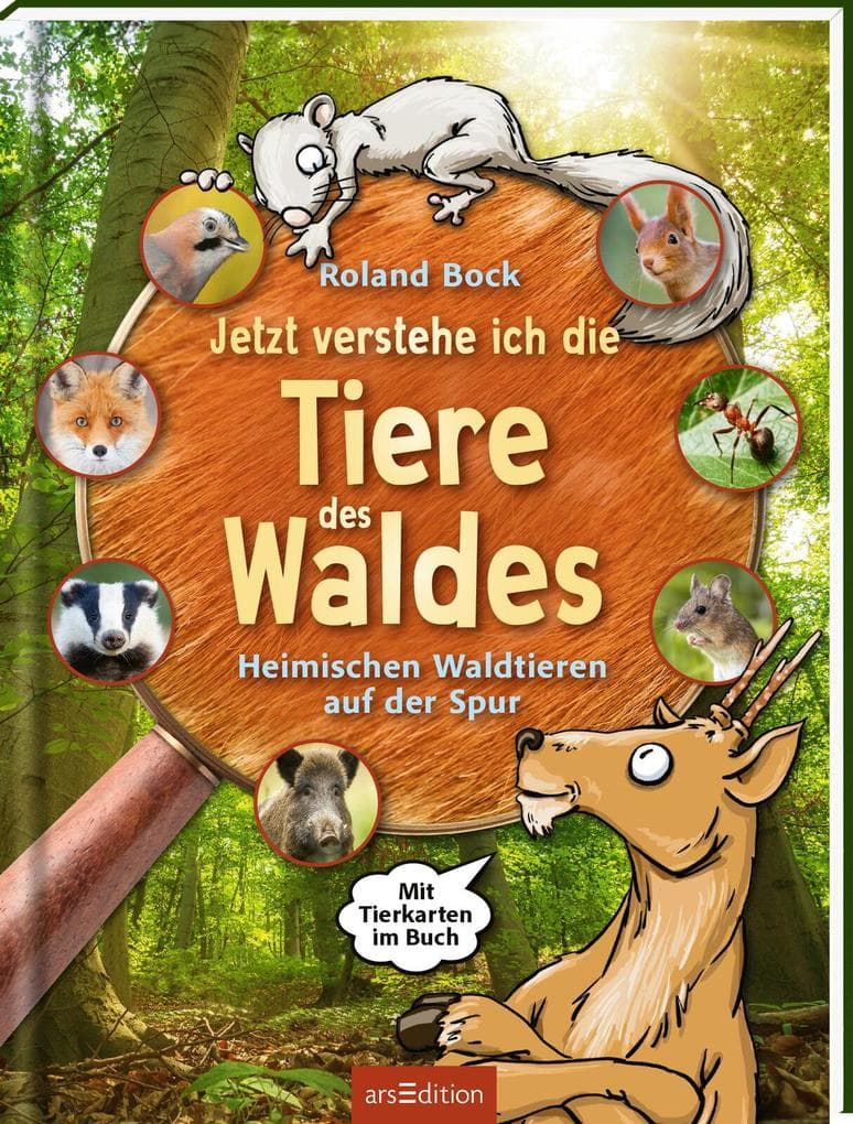 Jetzt verstehe ich die Tiere des Waldes: Heimischen Waldtieren auf der Spur - mit Tierkarten im Buch