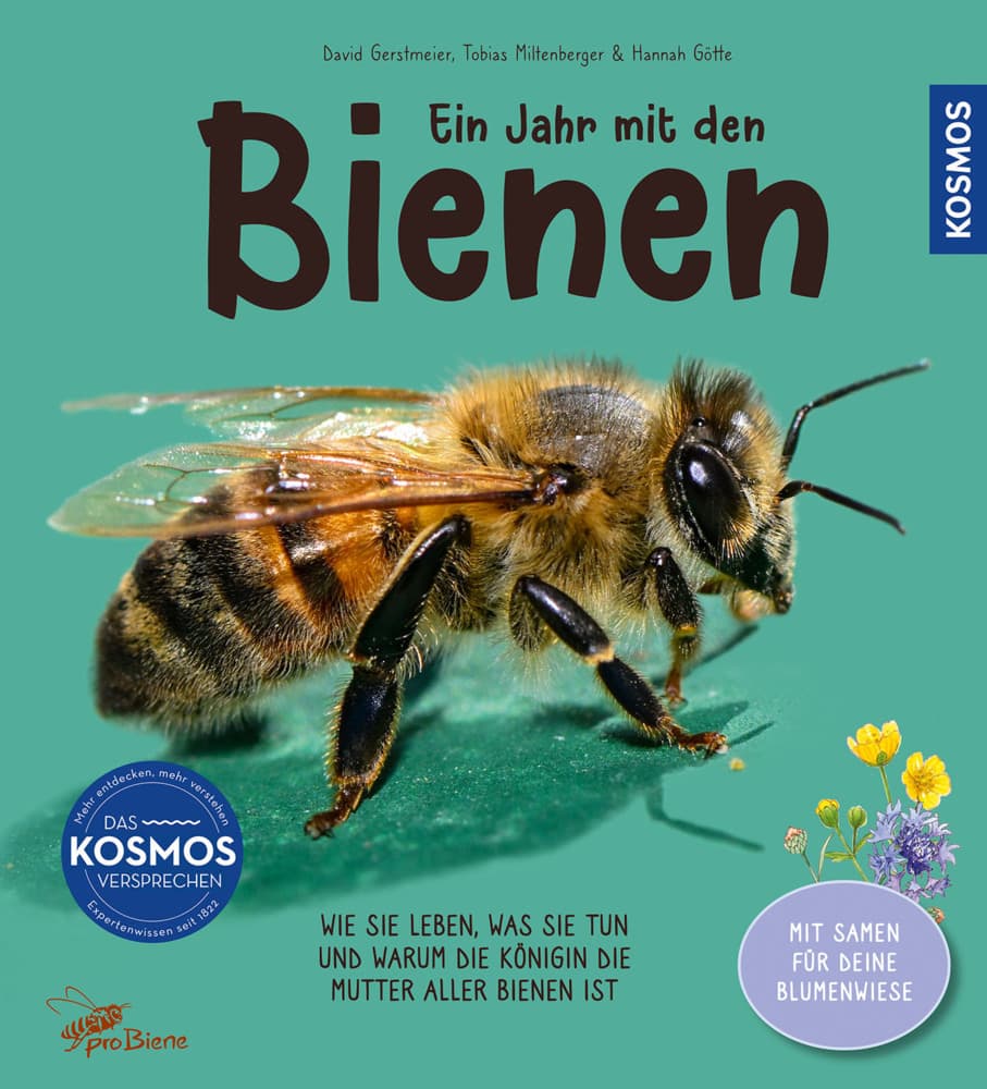 Ein Jahr mit den Bienen: Begleite das Bienenvolk durch das Jahr und finde heraus, was die Bienen im Winter machen, wie sie sich verständigen und wie man ihre Königin wird. Mit extra Blumensamen!
