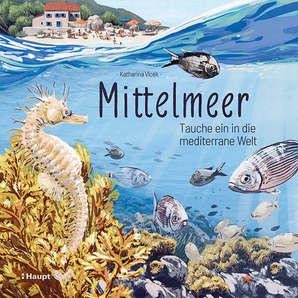 Mittelmeer: Tauche ein in die mediterrane Welt
