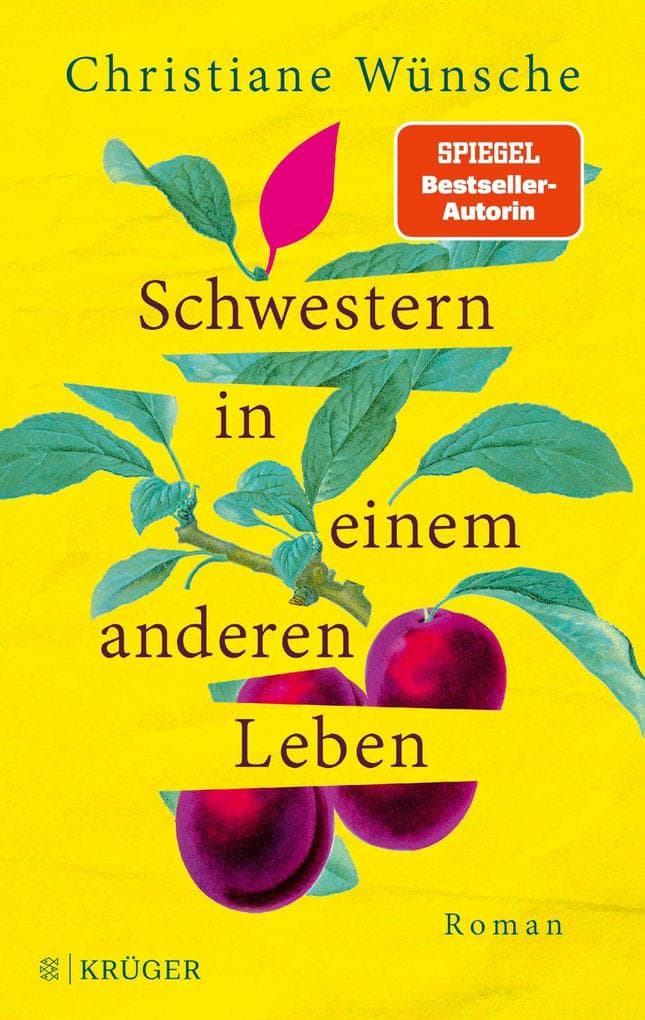 Schwestern in einem anderen Leben: Roman | Inspiriert von einer wahren Begebenheit, erzählt die Erfolgsautorin berührend von einer jahrzehntelangen Suche nach Geborgenheit