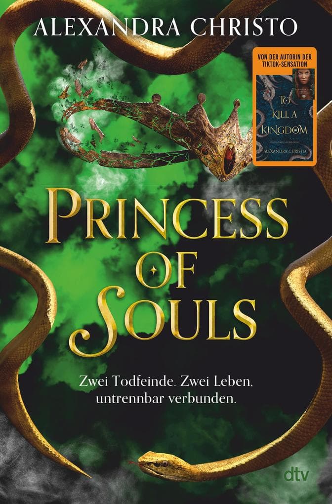 Princess of Souls: Mitreißende Enemies-to-Lovers-Romantasy der TikTok-Erfolgsautorin von To Kill a Kingdom | Hochwertig veredelt
