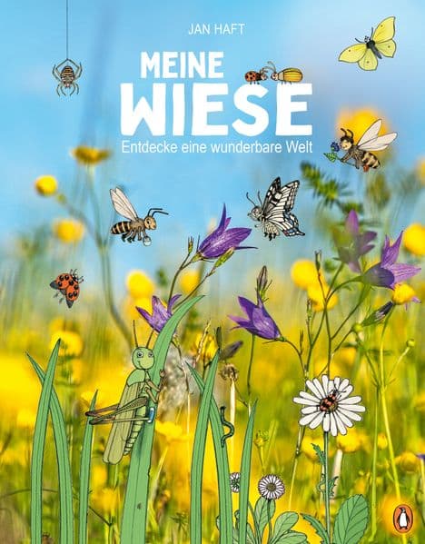 Meine Wiese. - Entdecke eine wunderbare Welt: Sachbilderbuch für Kinder ab 6 Jahren