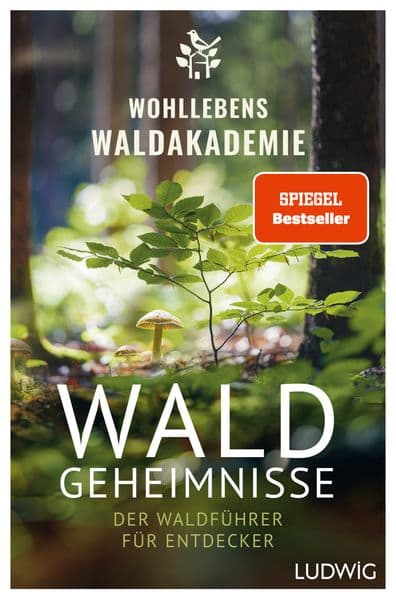 Waldgeheimnisse: Der Waldführer für Entdecker - Vorwort von Peter Wohlleben