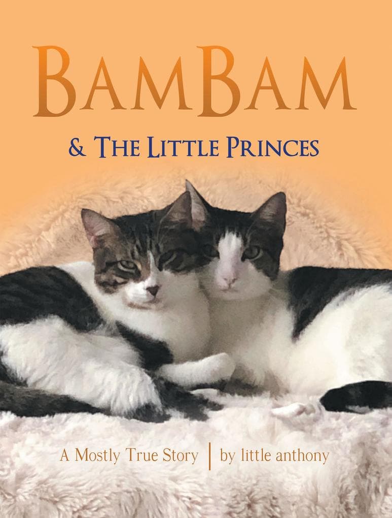BamBam & The Little Princes: A Mostly True Story