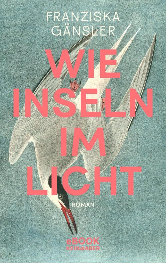 Wie Inseln im Licht: Nach »Ewig Sommer« ein neues Meisterwerk der atmosphärischen Spannung