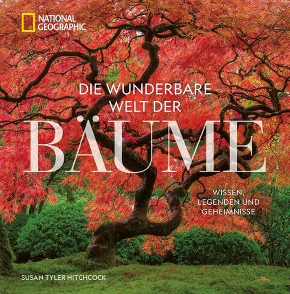 Die wunderbare Welt der Bäume: Wissen, Legenden und Geheimnisse