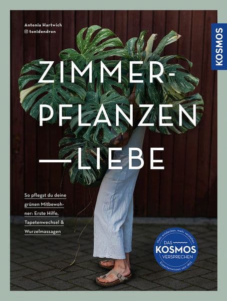 Zimmerpflanzenliebe: So pflegst du deine grünen Mitbewohner: Erste Hilfe, Tapetenwechsel & Wurzelmassagen