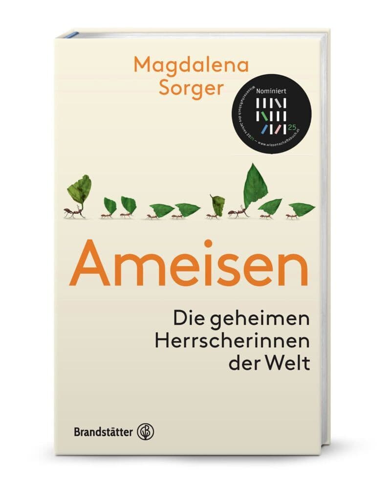 Ameisen: Die geheimen Herrscherinnen der Welt