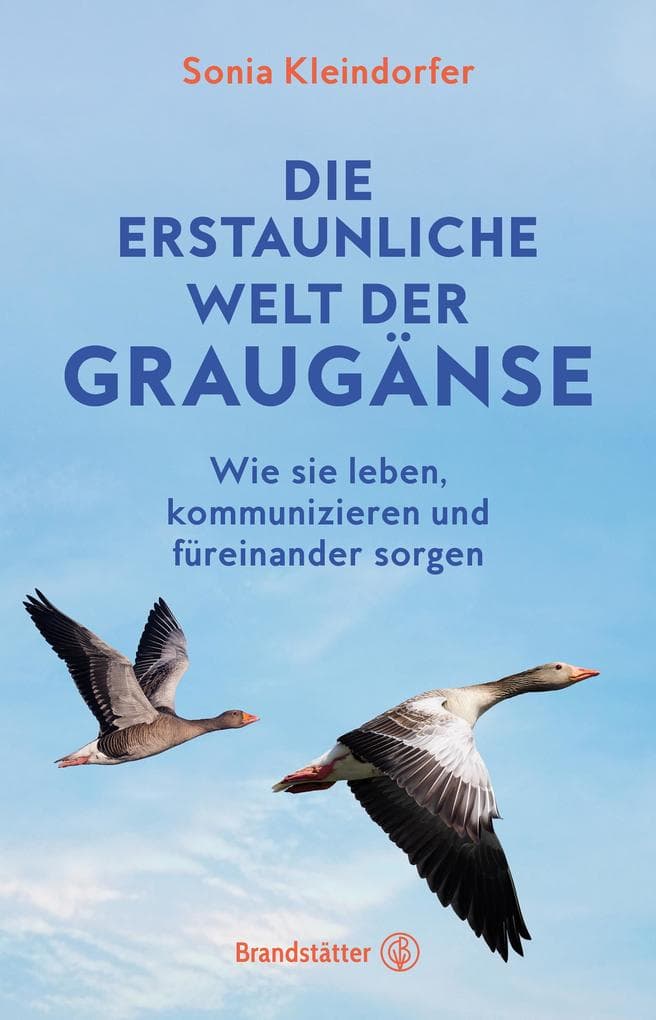 Die erstaunliche Welt der Graugänse: Wie sie leben, kommunizieren und füreinander sorgen